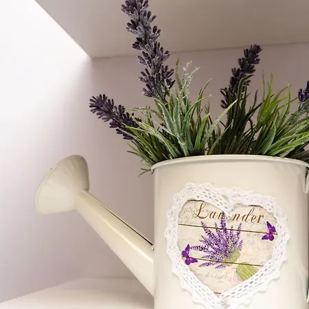 Apartment Lavender Garden - Ground Floor - 1 Dubrovnik